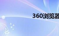 360浏览器flash插件