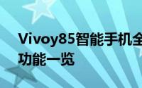 Vivoy85智能手机全新评测：性能、设计与功能一览