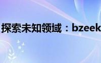 探索未知领域：bzeek的独特魅力与未来展望