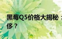 黑莓Q5价格大揭秘：性价比之选还是高端奢侈？