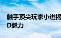 触手顶尖玩家小进揭秘：球球大作战的独特ID魅力