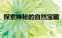 探索神秘的自然宝藏：加拉帕戈斯群岛之旅