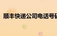 顺丰快递公司电话号码查询及常见服务解析