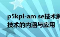 p5kpl-am se技术解析：深入理解这一关键技术的内涵与应用