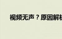 视频无声？原因解析与解决方法大揭秘