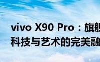 vivo X90 Pro：旗舰级手机的新标杆，引领科技与艺术的完美融合