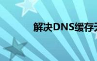 解决DNS缓存无法清除的问题