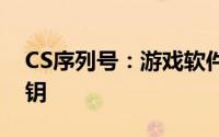 CS序列号：游戏软件中的唯一标识与激活密钥