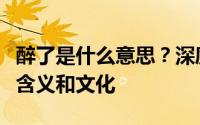 醉了是什么意思？深度解读网络流行语背后的含义和文化