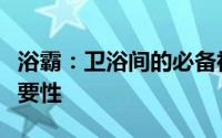 浴霸：卫浴间的必备神器，了解它的功能与重要性