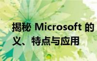 揭秘 Microsoft 的 .NET Framework：定义、特点与应用