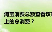 淘宝消费总额查看攻略：如何查询自己在淘宝上的总消费？