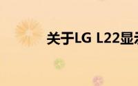 关于LG L22显示器的全面解析