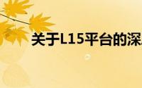 关于L15平台的深度解析与应用指南