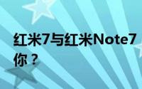 红米7与红米Note7：全面对比，哪款更适合你？