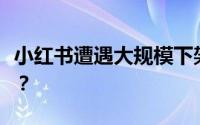 小红书遭遇大规模下架风波，究竟发生了什么？