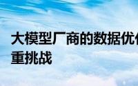 大模型厂商的数据优化迷局：隐私与透明的双重挑战