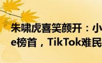 朱啸虎喜笑颜开：小红书登顶美区App Store榜首，TikTok难民涌入