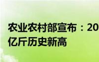 农业农村部宣布：2024年粮食产量跃升至4万亿斤历史新高