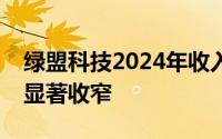 绿盟科技2024年收入预计大幅增长，净亏损显著收窄