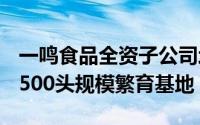 一鸣食品全资子公司增资扩建：1.32亿打造4500头规模繁育基地