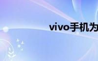 vivo手机为什么会发热