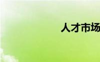 人才市场档案查询