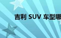 吉利 SUV 车型哪款适合家庭使用？